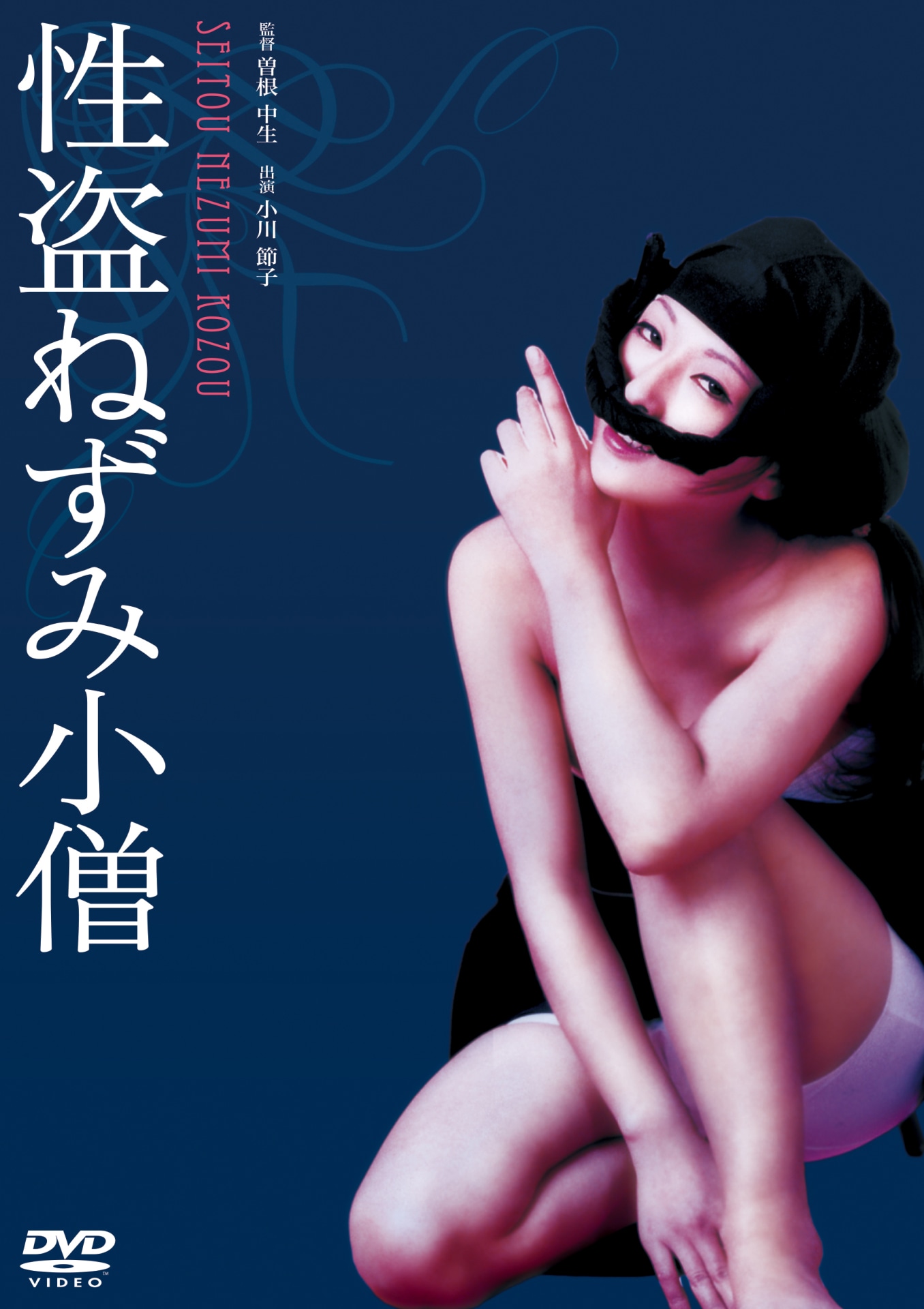 「性盗ねずみ小僧」ビジュアル