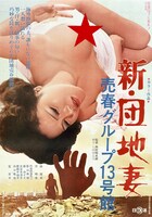 「新・団地妻 売春グループ13号館」ビジュアル