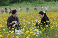 「野のなななのか」 (c)2014 芦別映画製作委員会／PSC