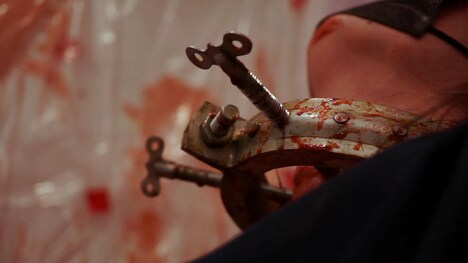 「自由を手にするその日まで」