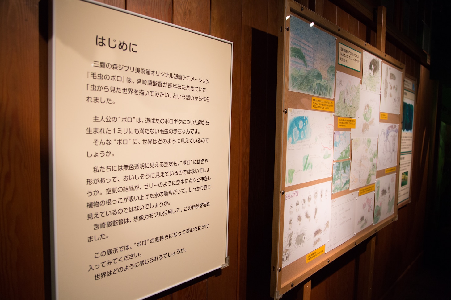 「毛虫のボロ」展示スペースの様子。