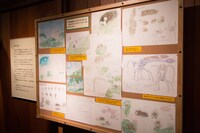 「毛虫のボロ」展示スペースの様子。