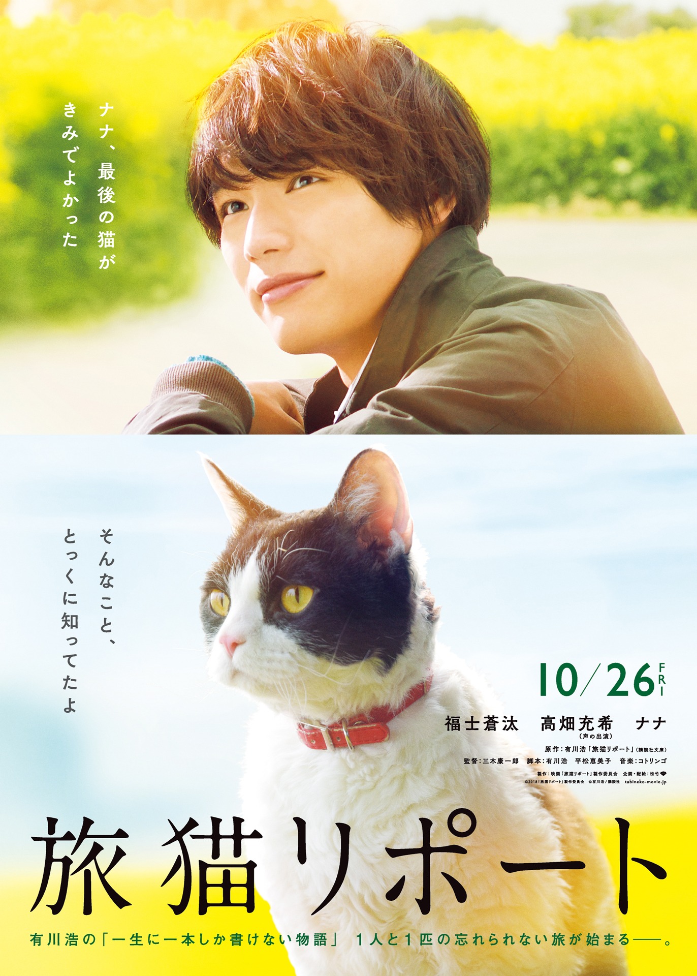 「旅猫リポート」ティザービジュアル