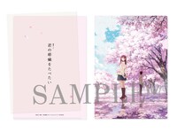 劇場アニメ「君の膵臓をたべたい」前売り券に付属するクリアファイル。