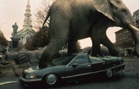 「ジュマンジ」 (c)1995 TriStar Pictures, Inc. All Rights Reserved.