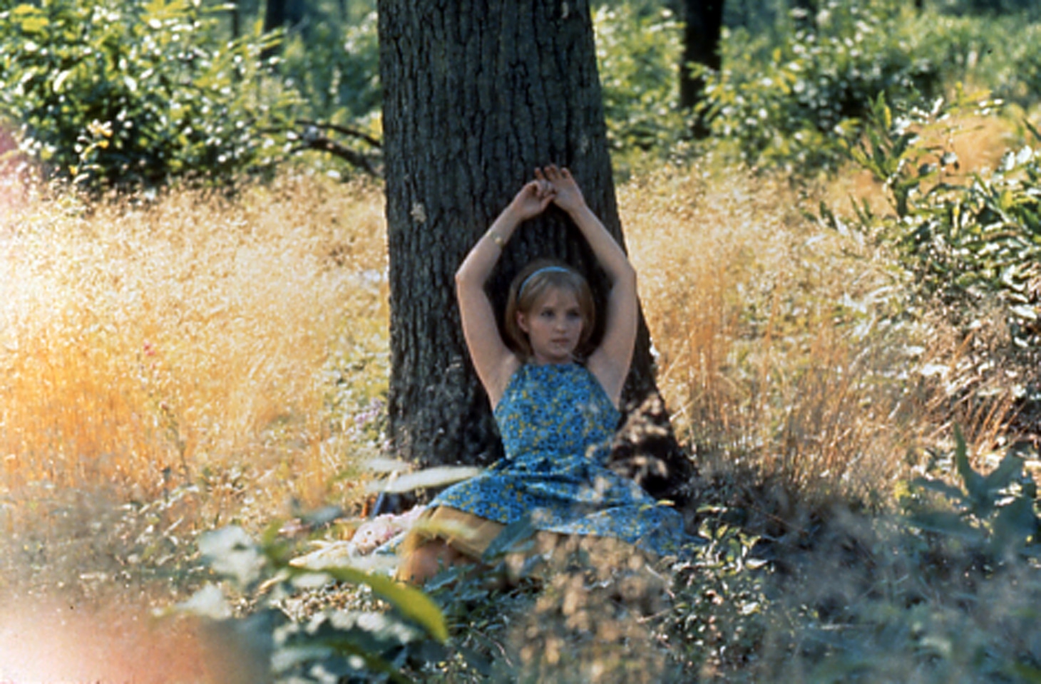「幸福 しあわせ」 (c)agnes varda et enfants 1994