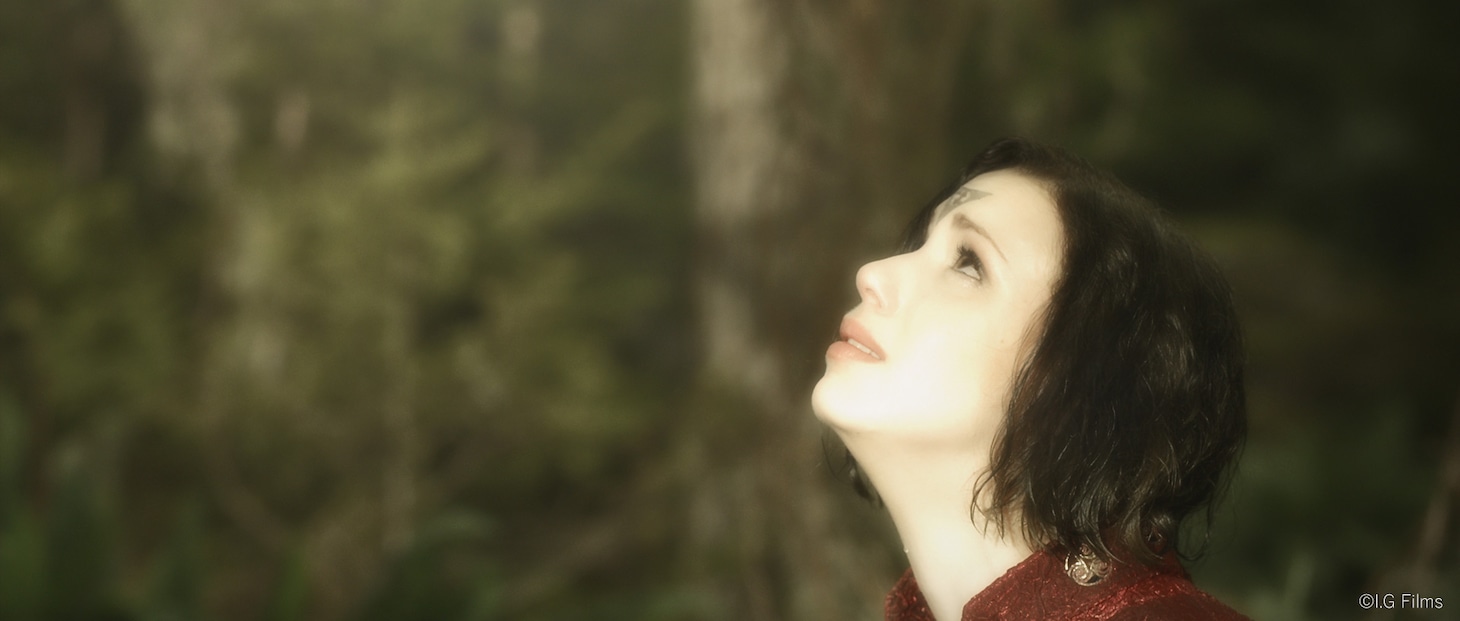 「ガルム・ウォーズ」