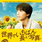 高杉真宙主演の青春ドラマ「世界でいちばん長い写真」予告&場面カット解禁