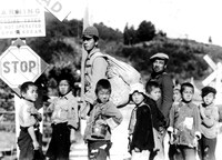 「蜂の巣の子供たち」