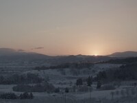 「泳ぎすぎた夜」