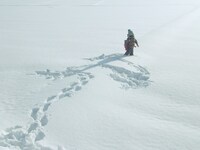 「泳ぎすぎた夜」