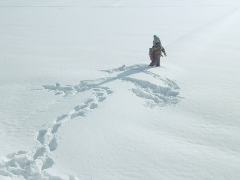 「泳ぎすぎた夜」