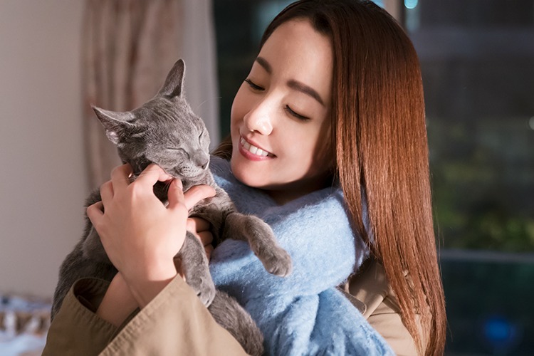 「猫は抱くもの」