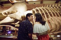 「50回目のファーストキス」