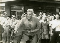 「生きものの記録」