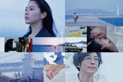 「嘘を愛する女」Blu-ray 豪華版ジャケット