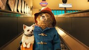 「パディントン」 (c)2014STUDIOCANALS.A.TF1FILMSPRODUCTIONS.A.S.PADDINGTONBEAR TM, PADDINGTON™AND PB TM ARE TRADEMARKS OF PADDINGTON AND COMPANY LIMITED