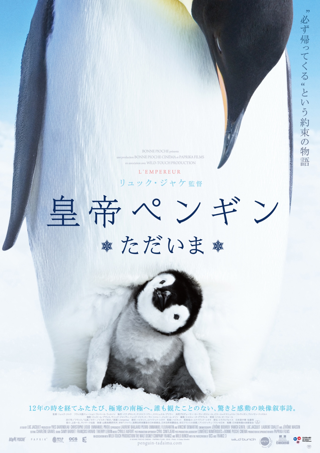 「皇帝ペンギン ただいま」ポスタービジュアル