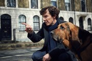 「SHERLOCK／シャーロック」シーズン4