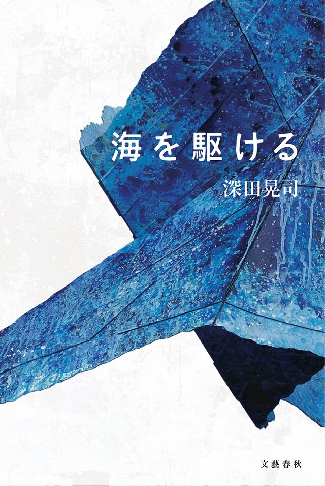 「海を駆ける」表紙