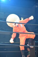 フルーツ忍者ハルナ 梨之助