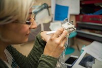 「犬ヶ島」メイキングカット