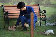 ウサギをなでる千葉雄大。