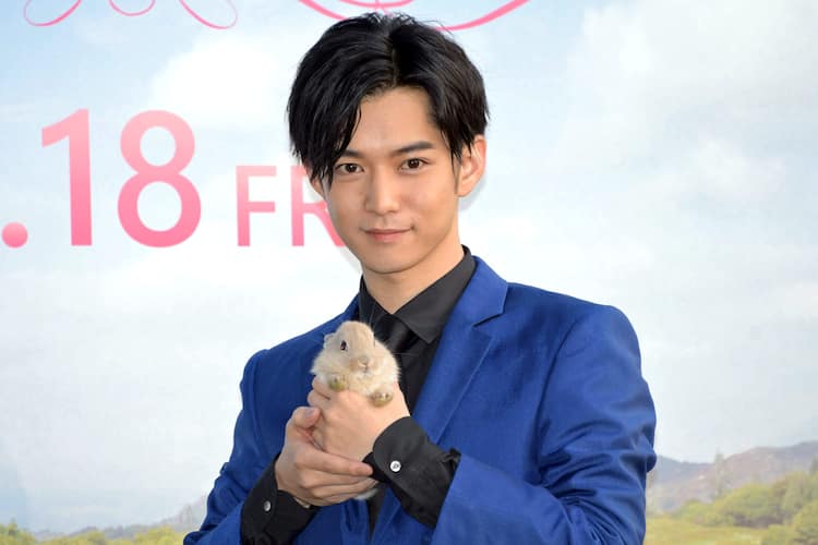 ウサギに囲まれた千葉雄大 ピーターラビットの愛されキャラは 僕と同じ 写真枚 映画ナタリー