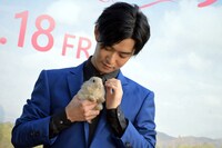 ウサギをなでる千葉雄大。