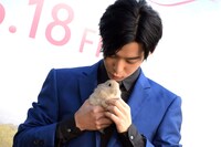 ウサギをなでる千葉雄大。