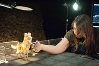 「犬ヶ島」メイキングカット