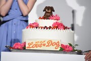 “ラブドッグケーキ”