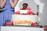 “ラブドッグケーキ”