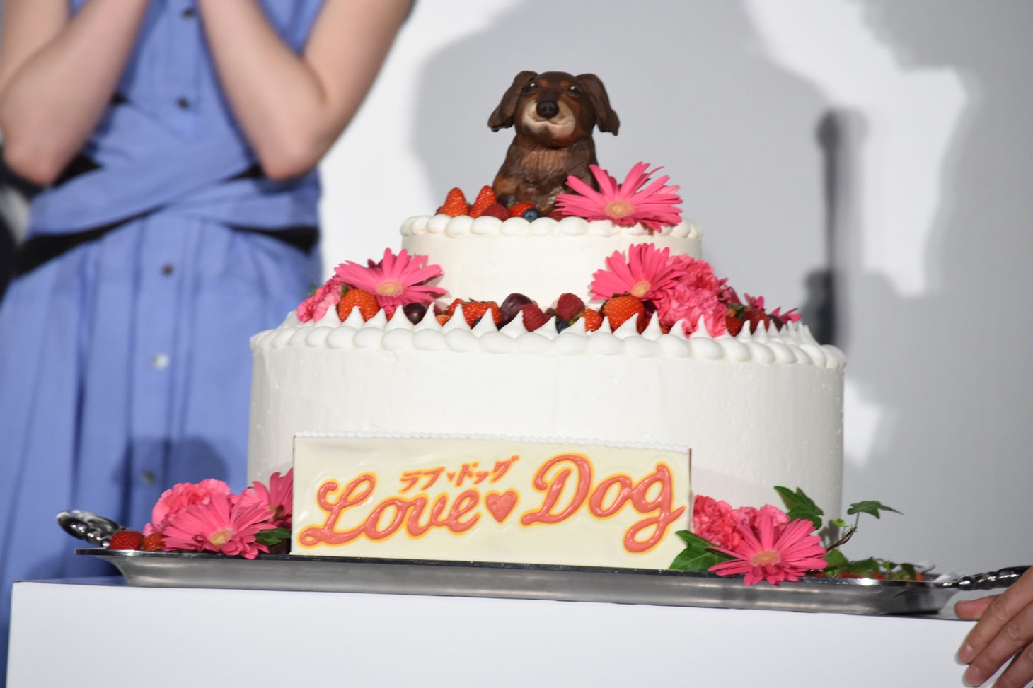 “ラブドッグケーキ”