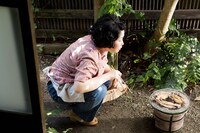 「モリのいる場所」新場面写真