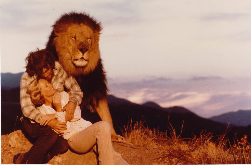 「ROAR／ロアー」