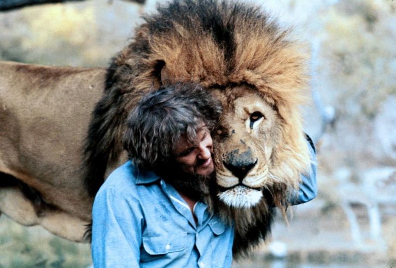 「ROAR／ロアー」