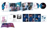 「去年の冬、きみと別れ」プレミアムエディション展開図