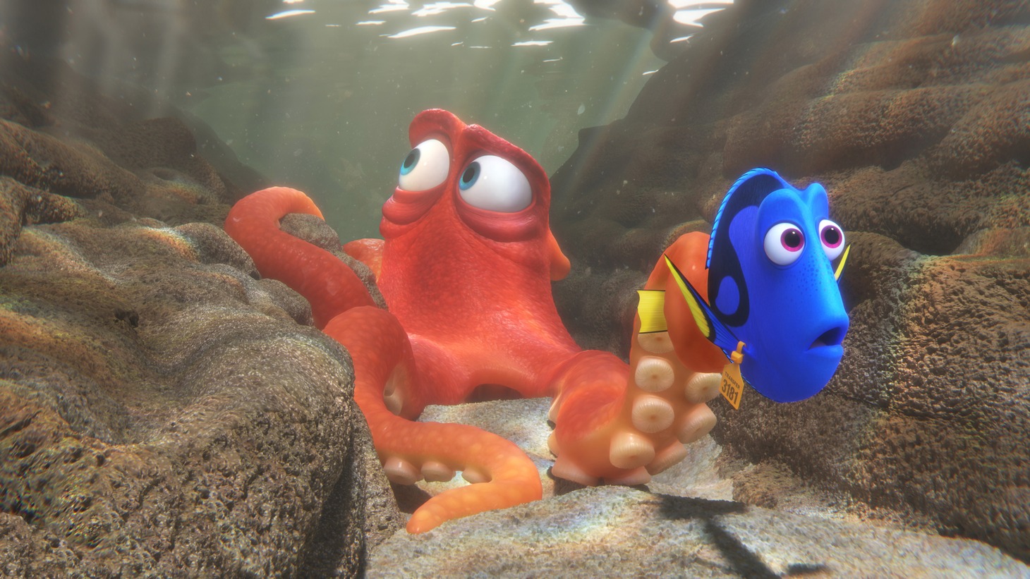 「ファインディング・ドリー」 (c)2016 Disney/Pixar