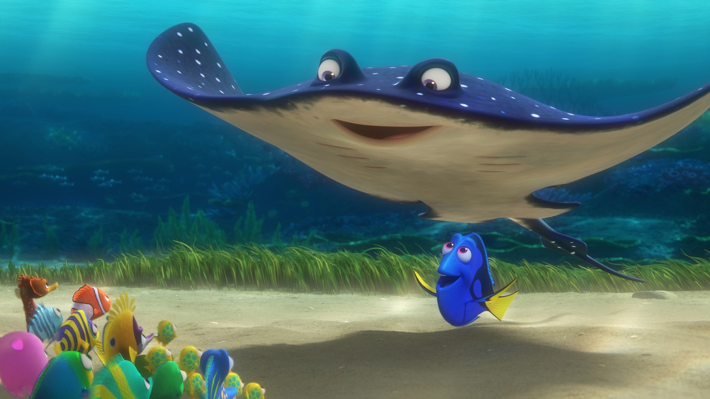 「ファインディング・ドリー」 (c)2016 Disney/Pixar