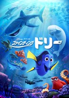 「ファインディング・ドリー」ビジュアル (c)2016 Disney/Pixar