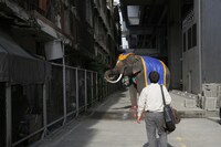 「ポップ・アイ」