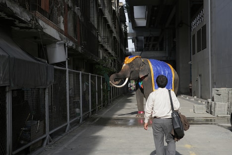 「ポップ・アイ」