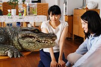 「家に帰ると妻が必ず死んだふりをしています。」