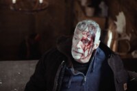 「ワイルド・ブレイブ」