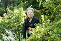 「モリのいる場所」新場面写真