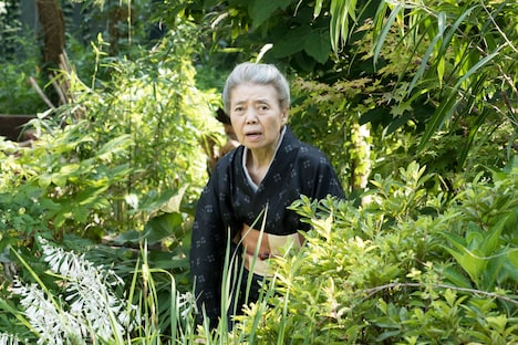 「モリのいる場所」新場面写真