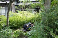 「モリのいる場所」新場面写真