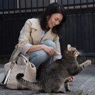 柴咲コウ、岩合光昭の初監督映画「ねことじいちゃん」でヒロイン演じる