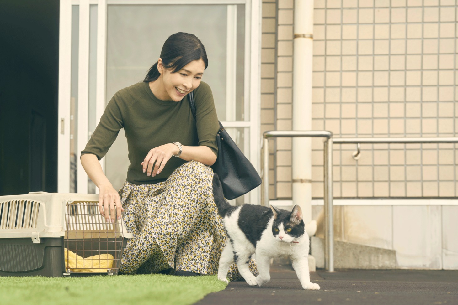「旅猫リポート」